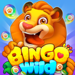 Bingo Wild - Bingo Games Story