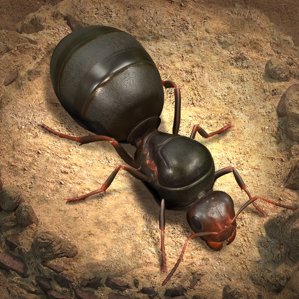 जनक The Ants: Underground Kingdom