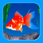 金魚育成アプリ「ポケット金魚」