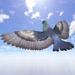 Генератор Pigeon Games Flight Simulator
