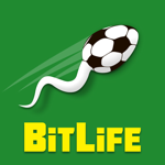 BitLife - Life Simulator