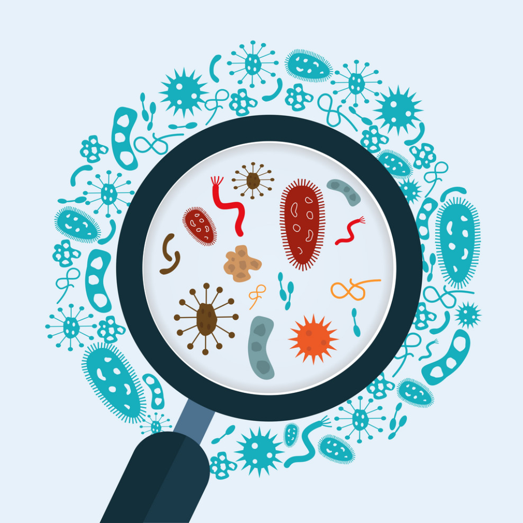 Generator Medical Microbiology Quiz