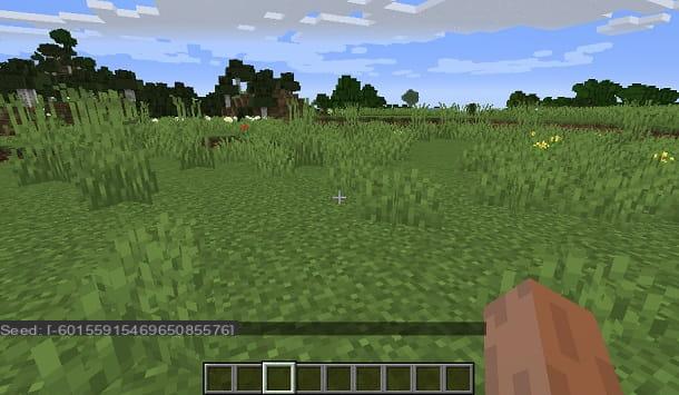 Cómo encontrar una aldea en Minecraft