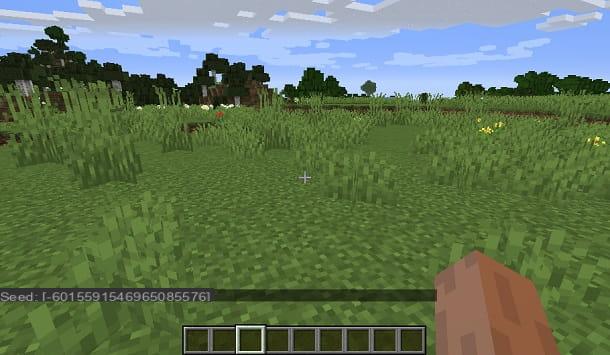 How to find a village in Minecraft