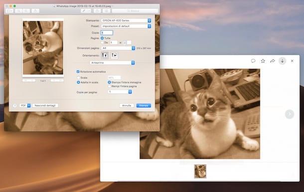 How to print photos from WhatsApp