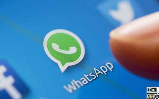 WhatsApp will allow you to customize the colors of the application