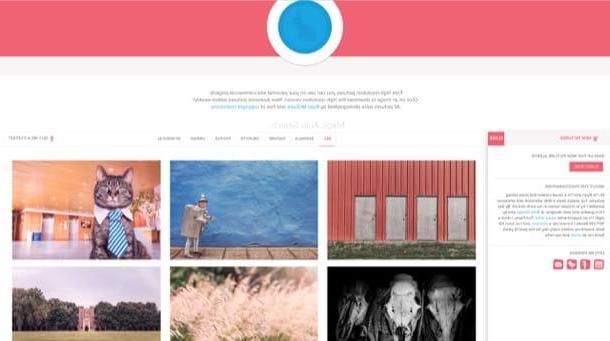 Where can I find free photos and images to download?