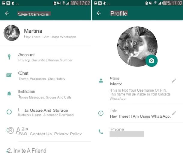 How to put names on WhatsApp