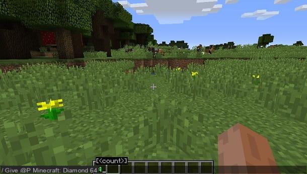 How to find diamonds in Minecraft