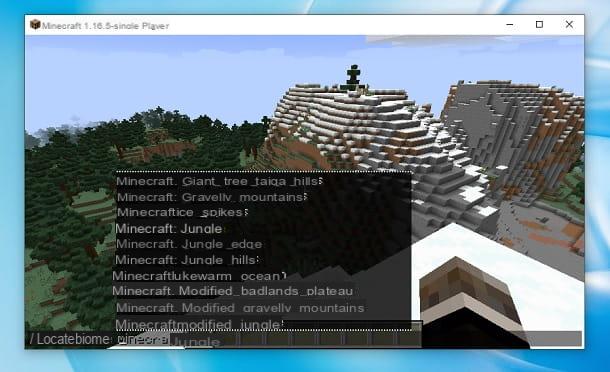 How to find the jungle in Minecraft