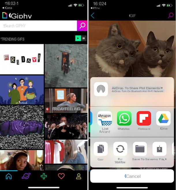 Comment envoyer des GIF sur WhatsApp iPhone