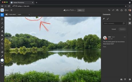 Photoshop will allow you to edit your photos on the Web