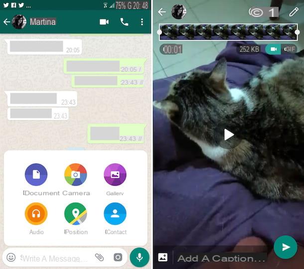 How to share a video on WhatsApp