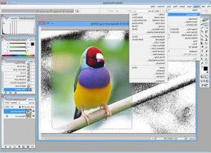 Descarga Photoshop gratis en PC y Mac
