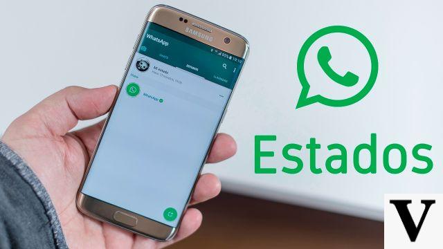 WhatsApp Status: a guide to learn how to use it