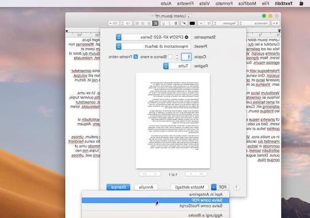 Cómo convertir un documento en PDF