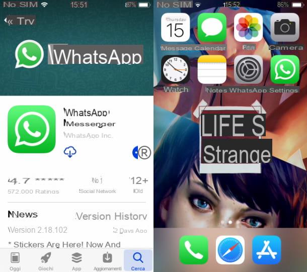 How to put the WhatsApp icon