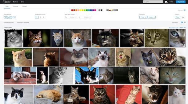 Comment rechercher des images similaires