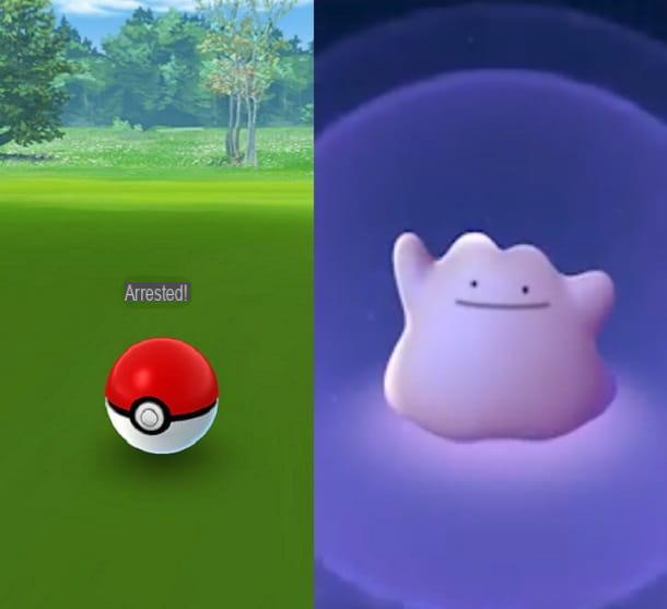 Cómo encontrar a Ditto en Pokémon GO