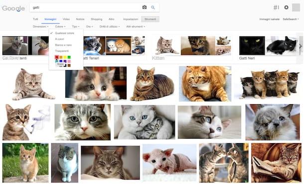 How to search for images