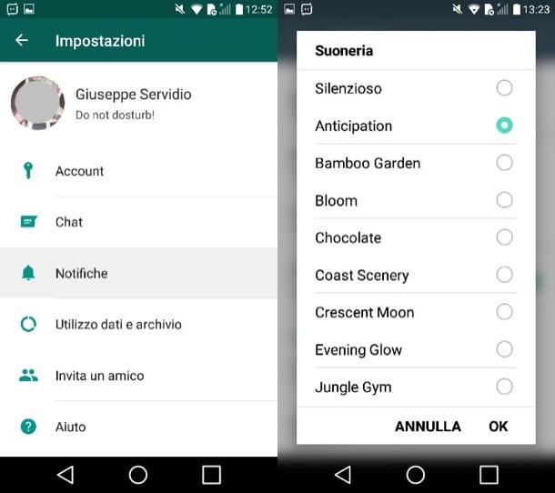 How to enable WhatsApp calls