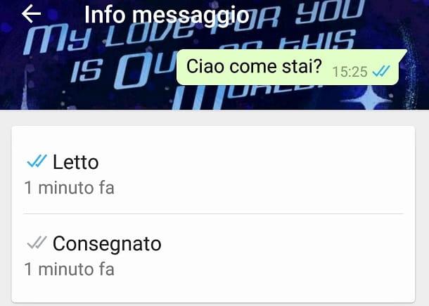 Como saber se uma pessoa está online no WhatsApp